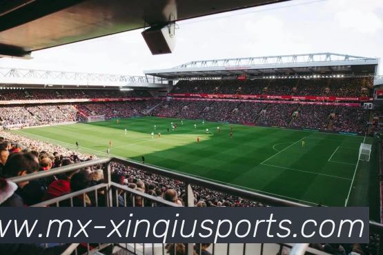 新球体育平台生态图