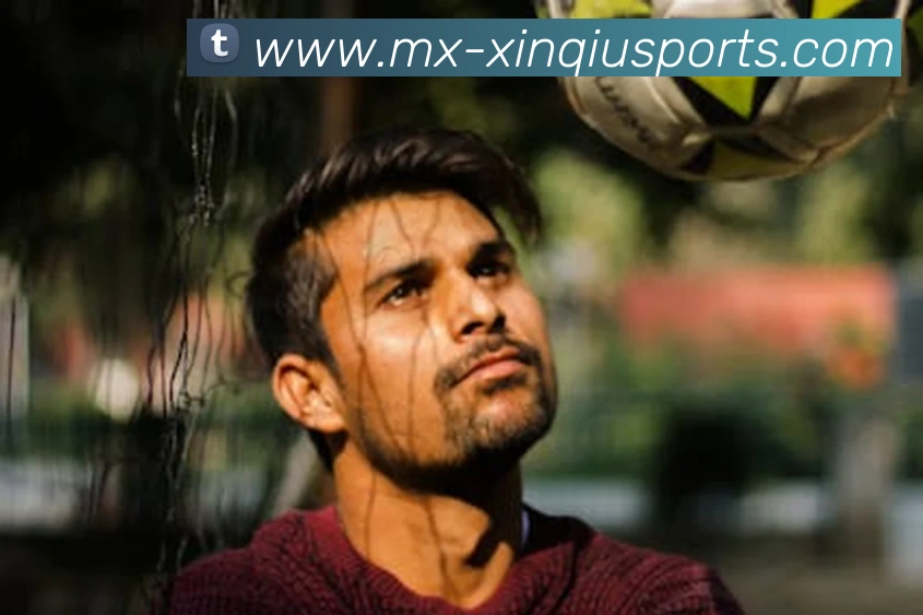 新球体育全站App